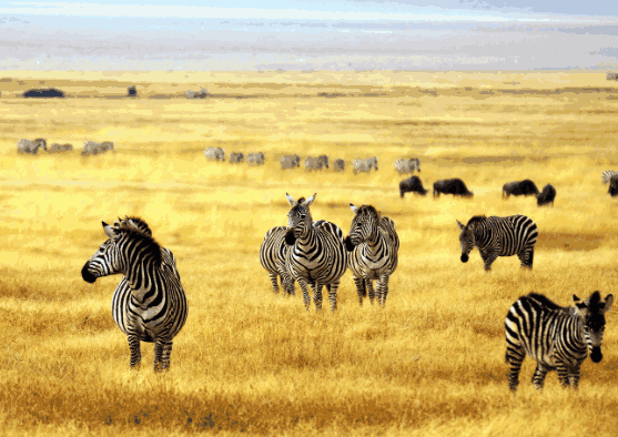 1715737591230051895.png image.png