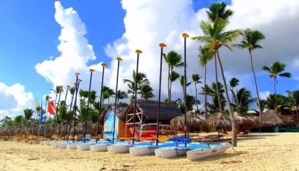 多米尼加海关数据查询平台（附免费试用查询名额）